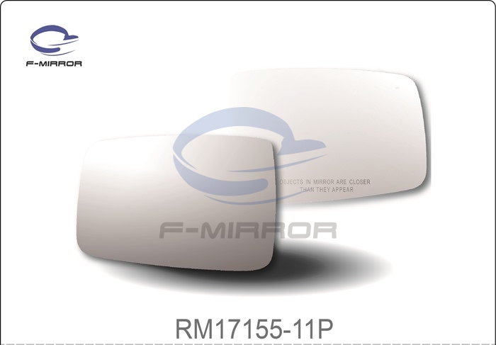 DOOR MIRROR GLASS W/PLATE